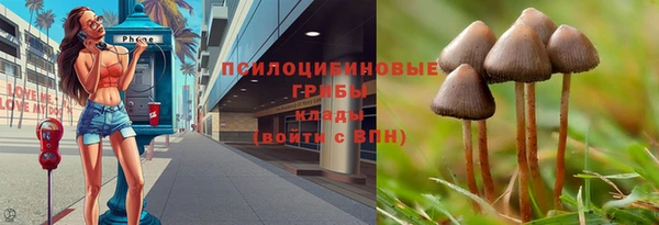 сатива Алексин