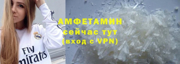 шишки Армянск
