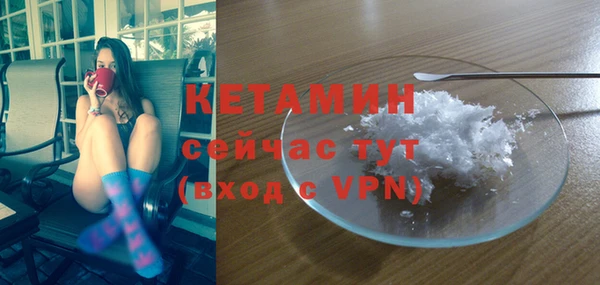прущие грибы Нея