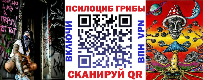 Псилоцибиновые грибы мухоморы  как найти закладки  blacksprut tor  Краснодар 